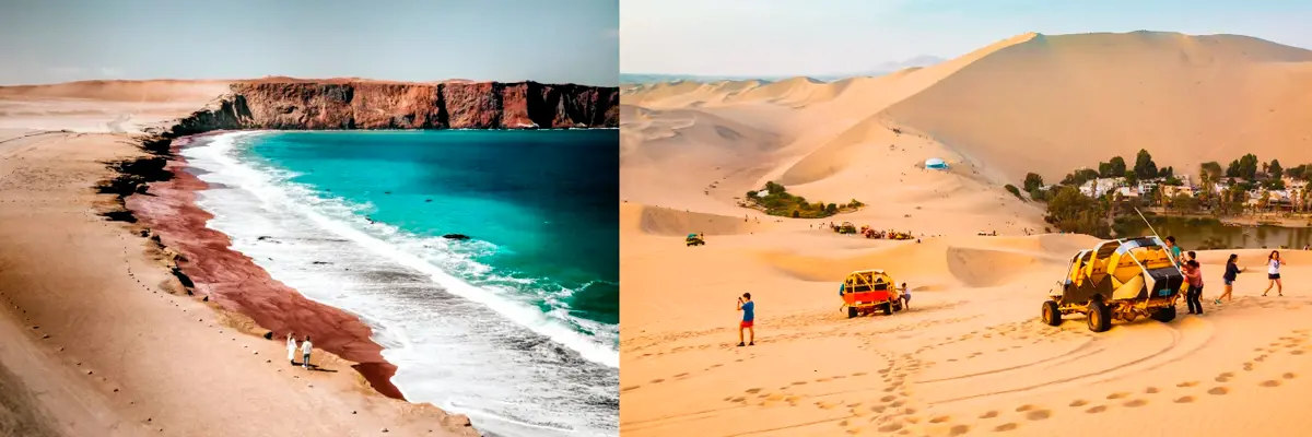 ica-paracas-full-day