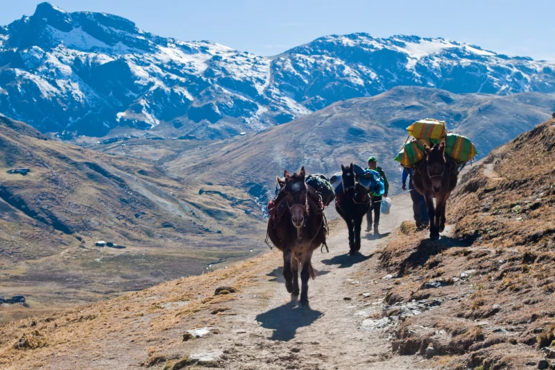 A Guide to Hiking the Inca Trail and Other Routes