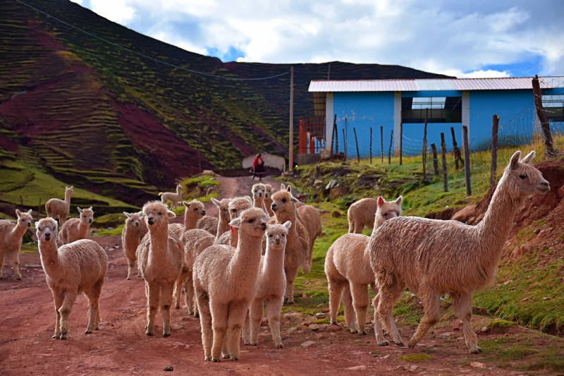 Unveiling the Hidden Gem: Exploring Palccoyo Rainbow Mountain
