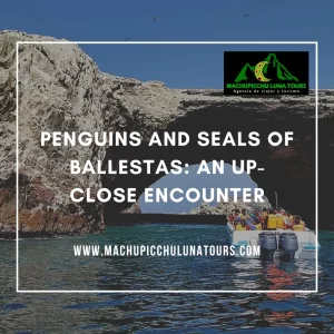 Penguins and Seals of Ballestas: An Up-Close Encounter