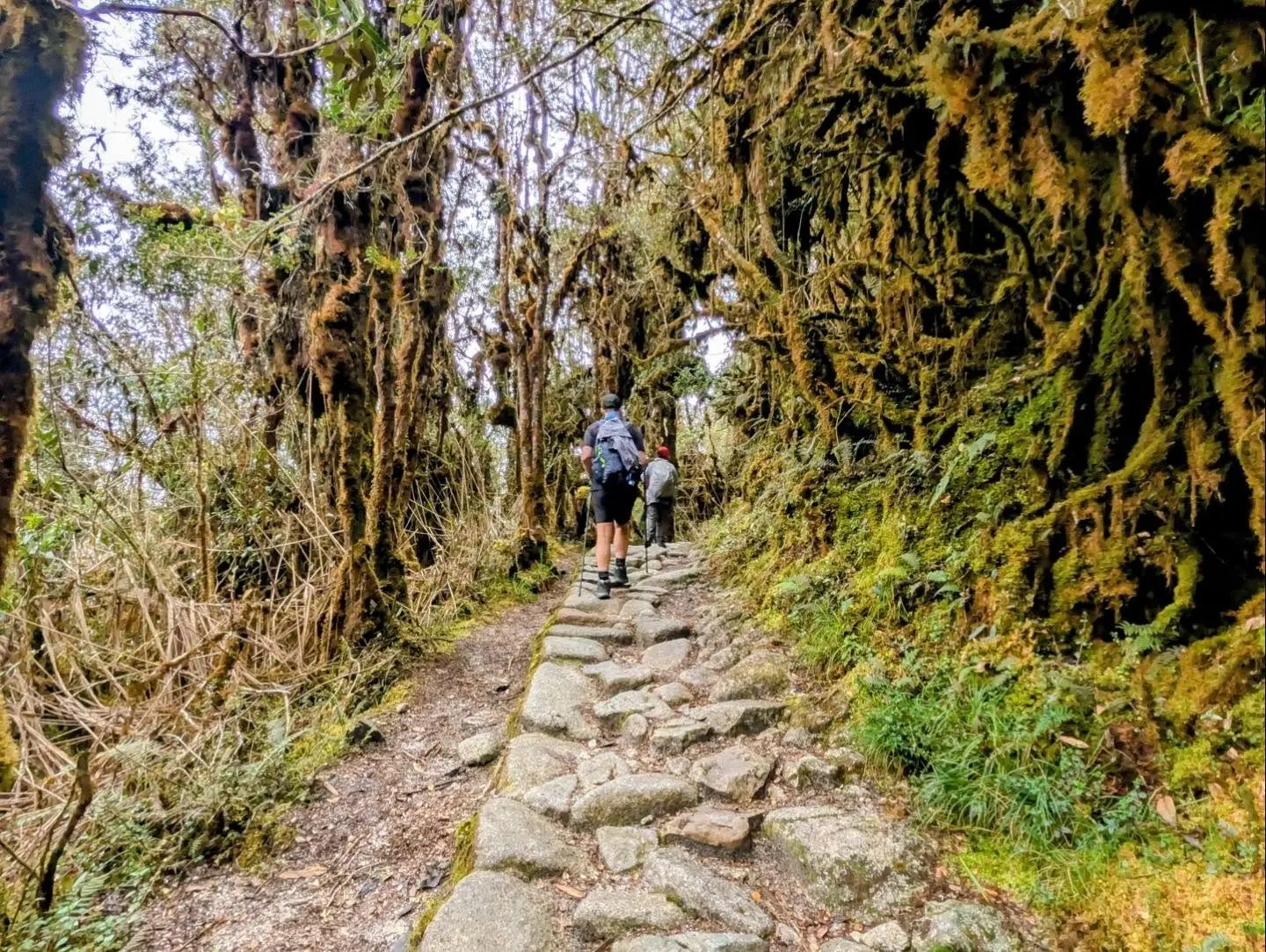 Inca Trail 4 Days: What to Expect Day by Day
